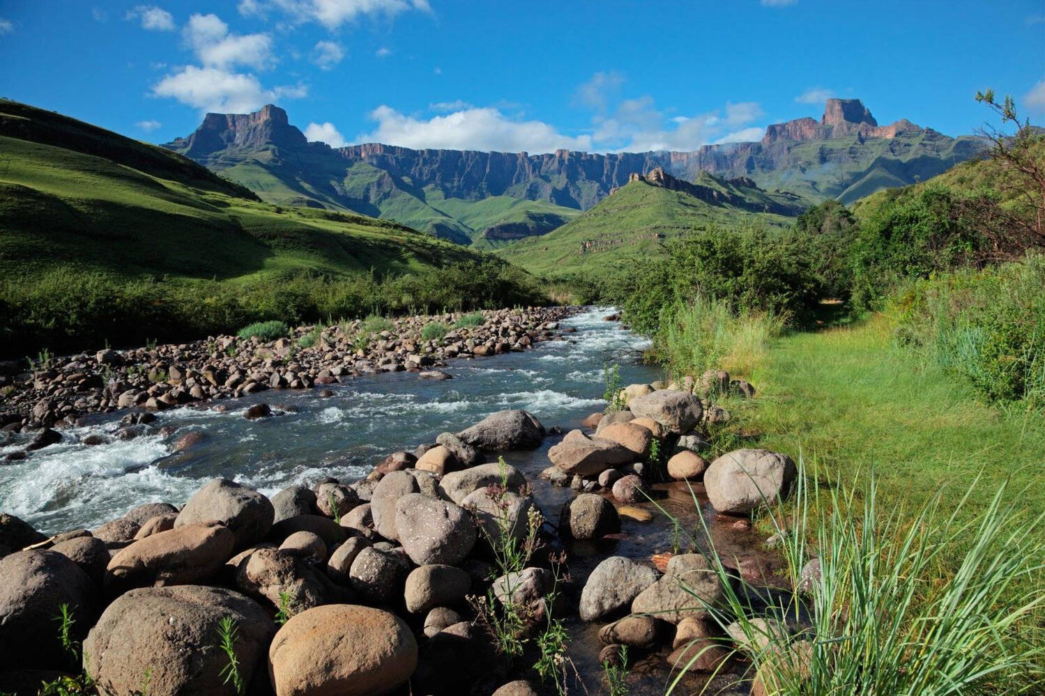 Passion South Africa 2025